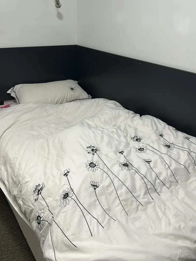 伯明罕不麻煩拼一個室友，長短不限