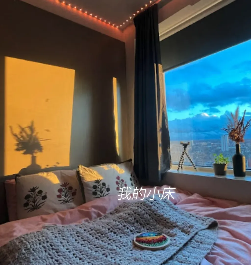 🇬🇧倫敦學生公寓測評Vega