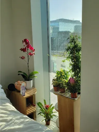 倫敦聖誕節短租出租的studio才三百？