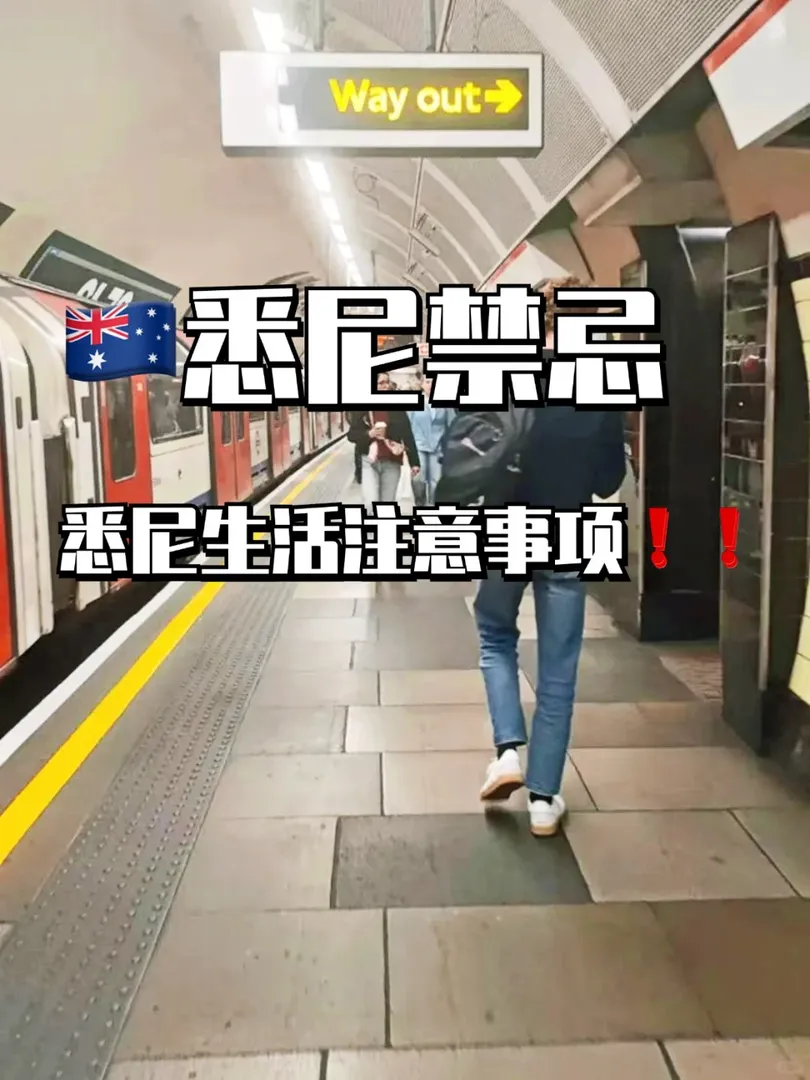 真心建議：去雪梨前看這一篇就夠了！