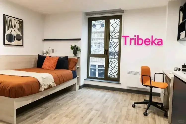 別找了，利茲200左右的studio都在這了👇