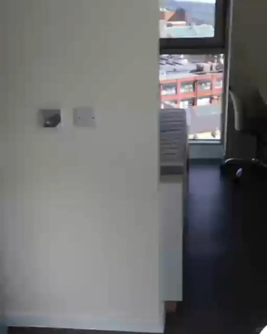 我發現布里斯托studio2百多胖就夠了！！