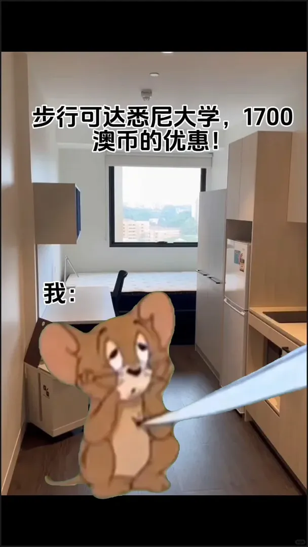 雪梨大學的寶子看過來！
