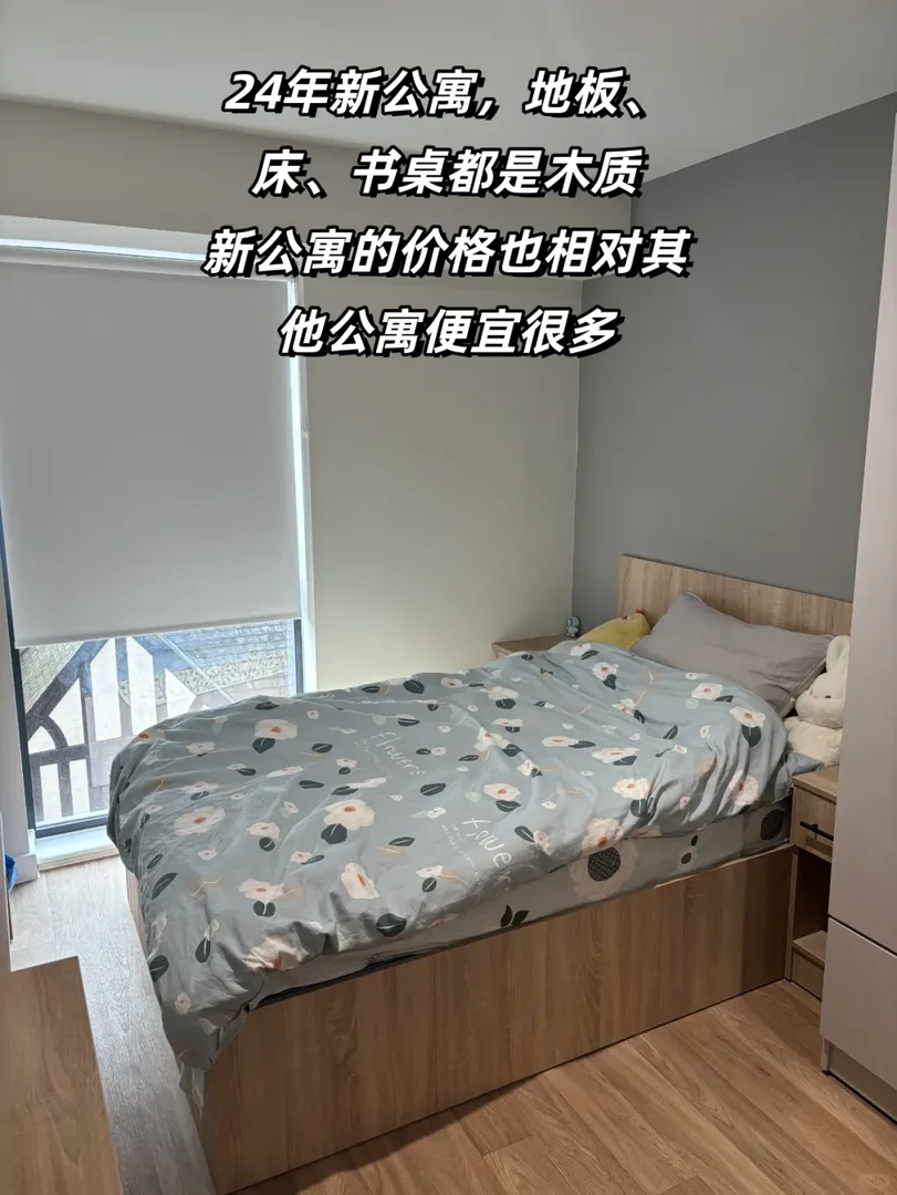 利茲新公寓入住體驗➕25fall轉租