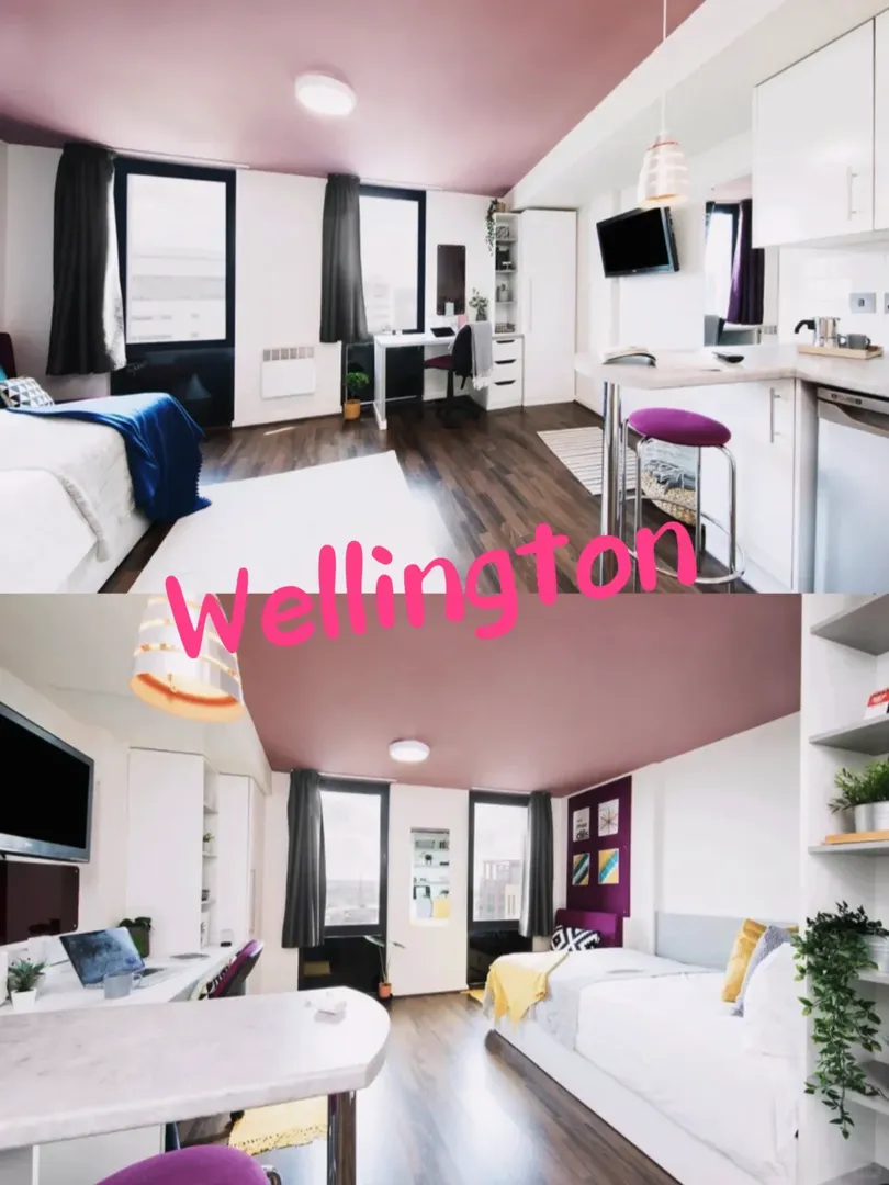 紐卡市中心studio居然190pw？
