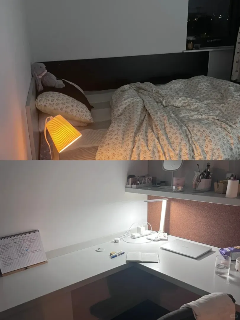 留子必看👀華威大學150pw可以有多爽
