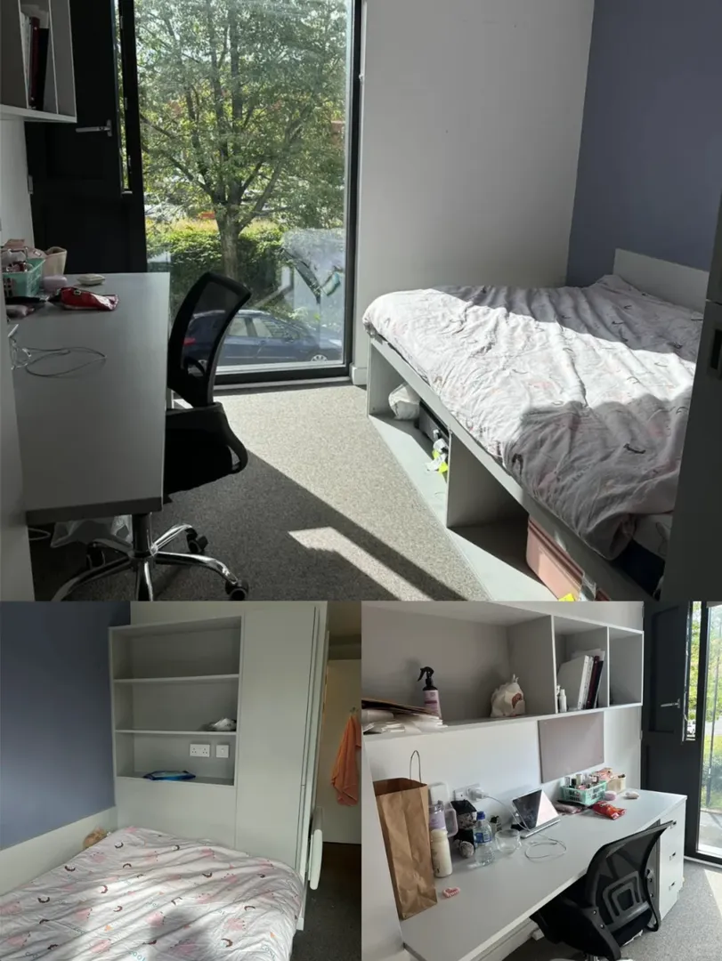 25fall華威大學，住著個三窗studio真的值了