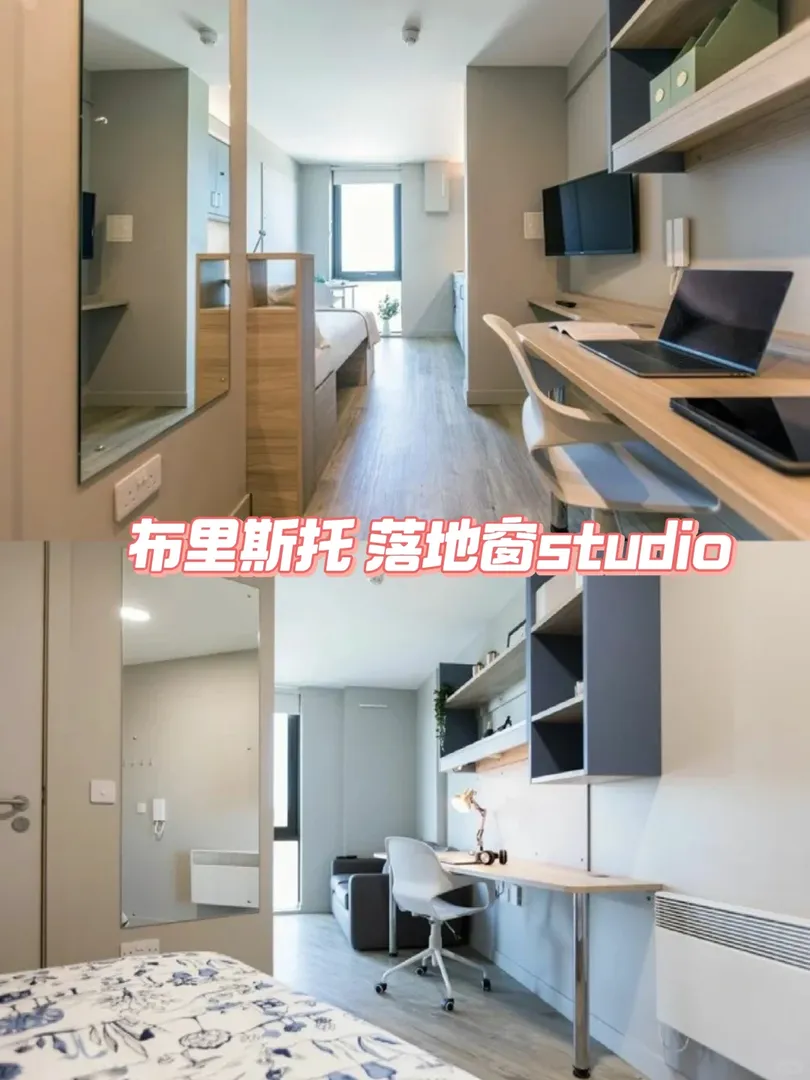 布里斯托studio真的🐮