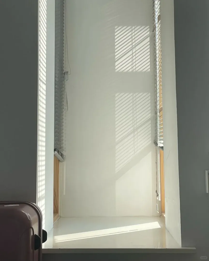 在我暖暖的小屋迎來愛丁堡的第一場雪