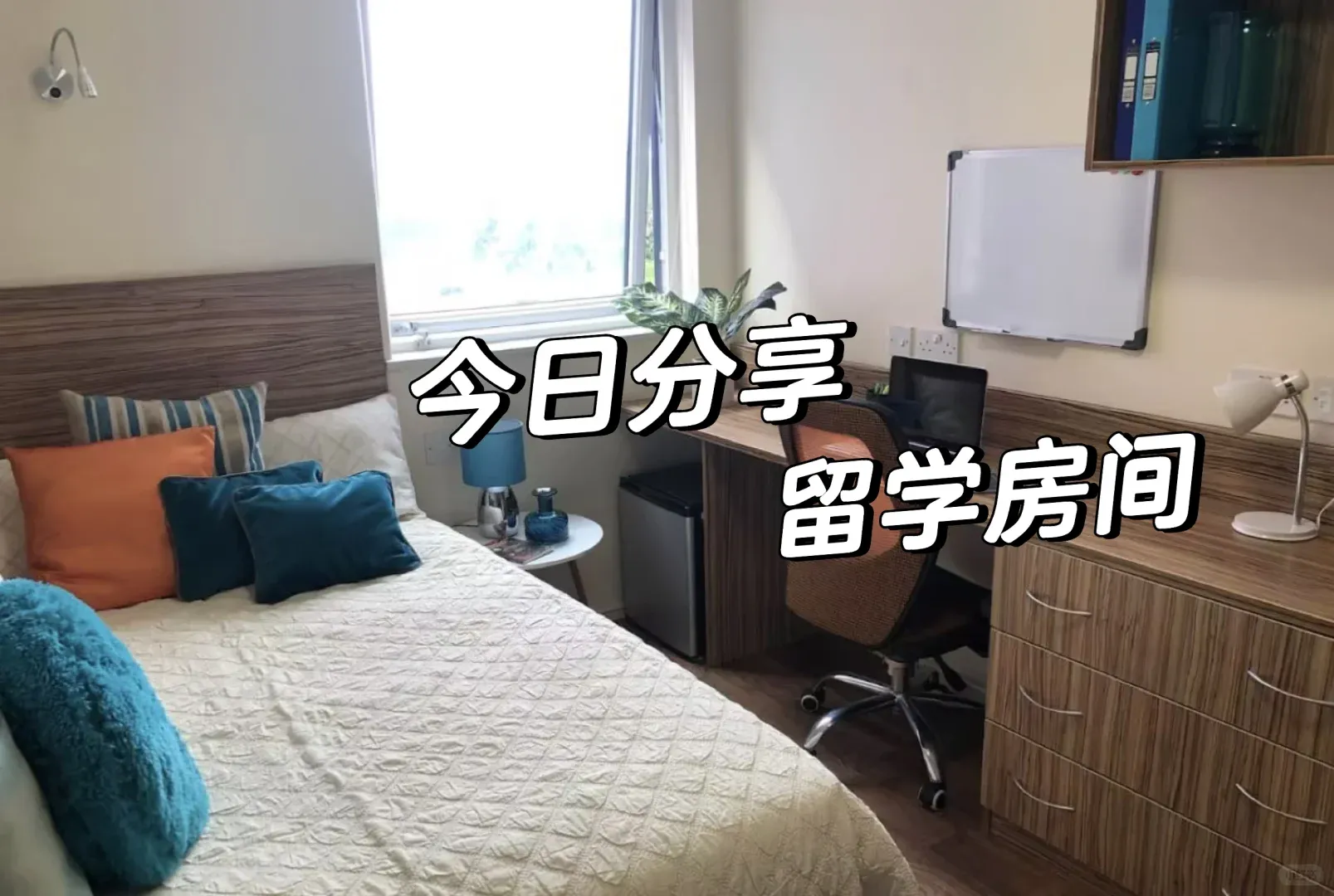 分享利物浦留學時的房間