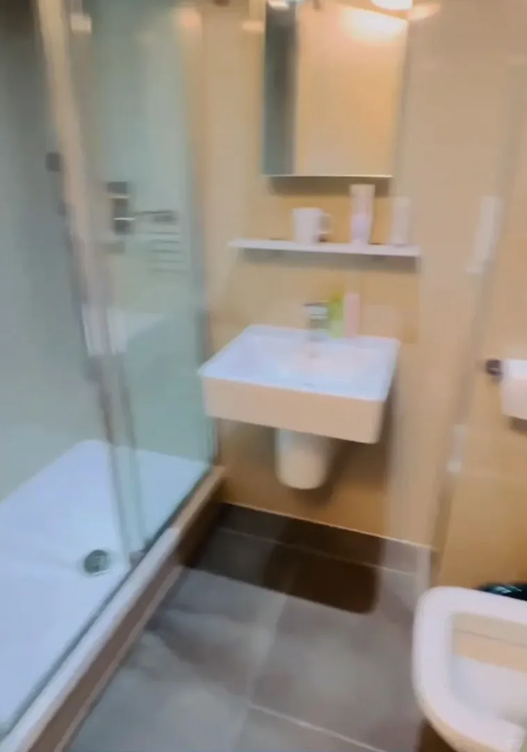 天崩開局也讓自己住上了夢中情房