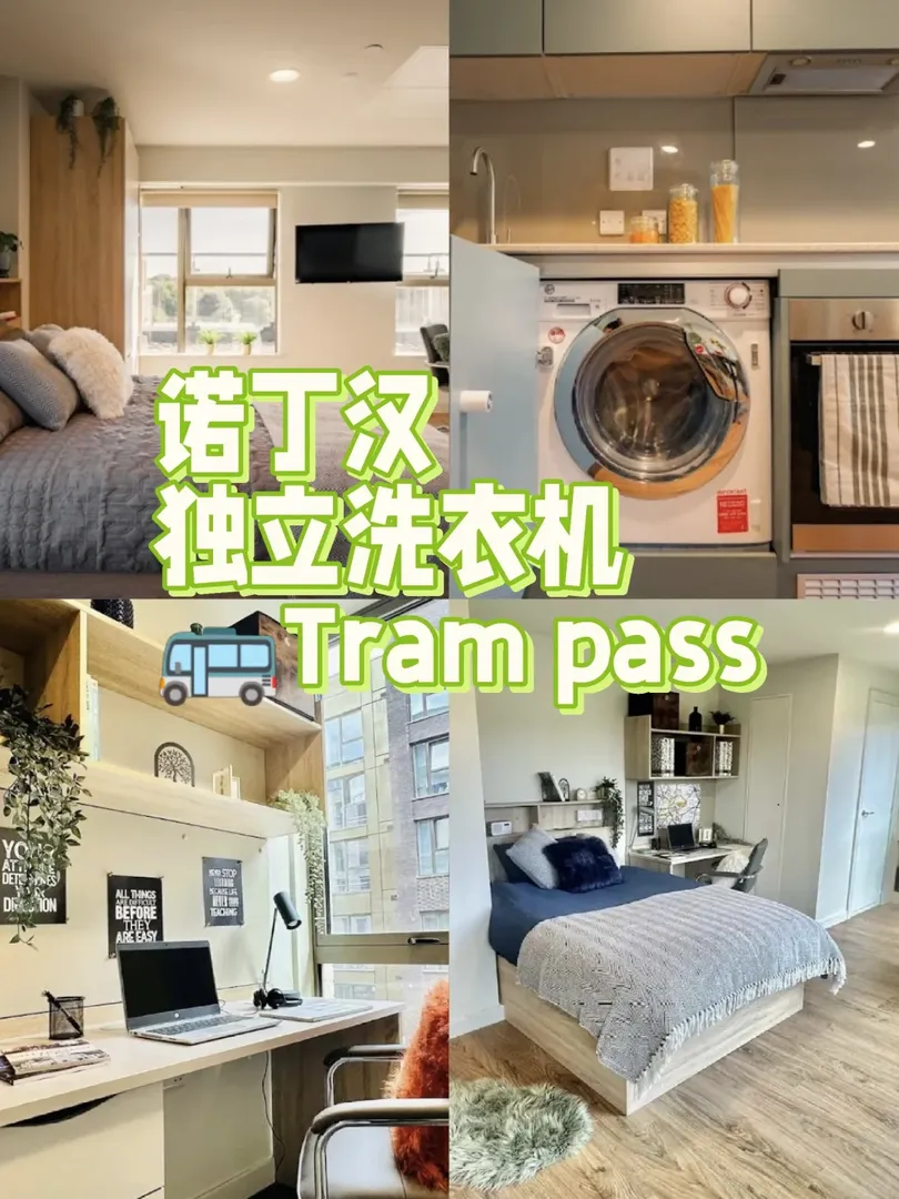 諾村找搭子👆🏻🏠