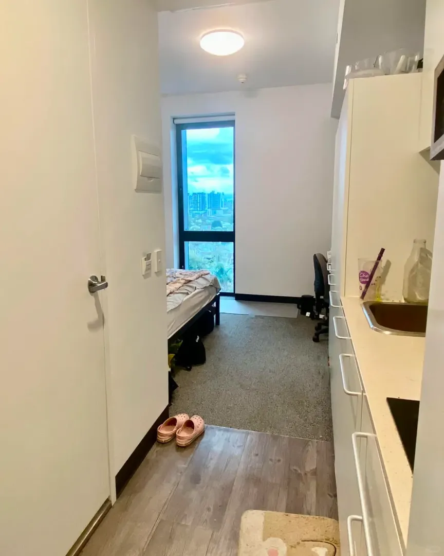 布里斯班25s1起的studio在線蹲一個uu👀
