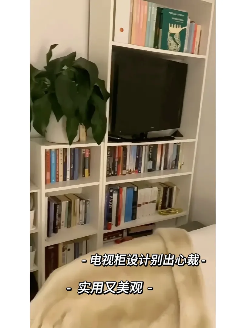 不捲了，布里斯班租房我只能接受450每周