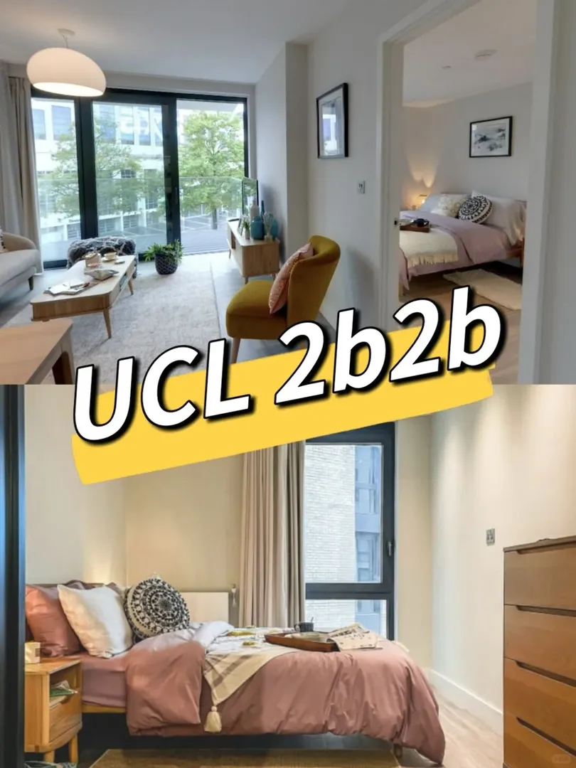 誰能相信UCL還有人均300的2b2b❓❗️⭐️