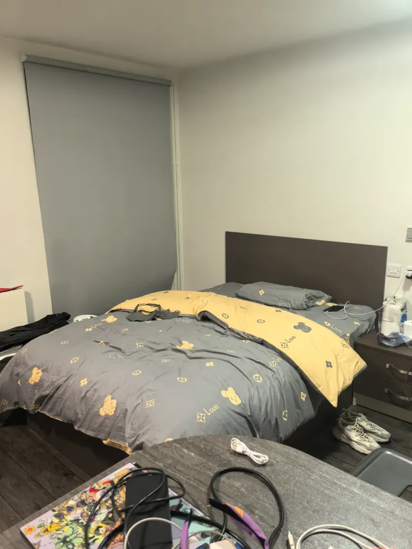 謝菲｜國際學院旁，25/26fall👀