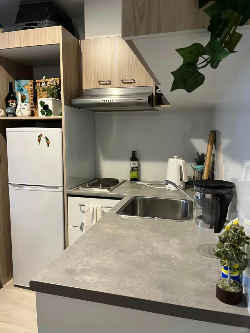 布里斯班25S1蹲4個室友300多胖，southbank