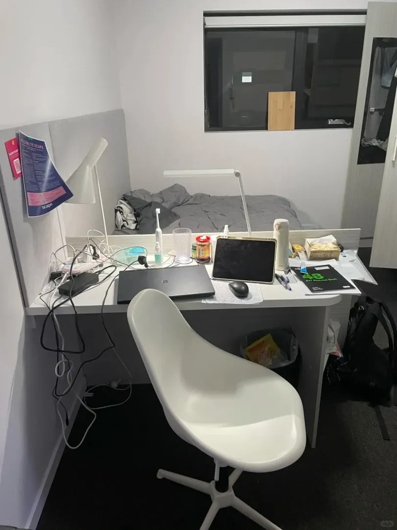 布里斯班高性價比studio