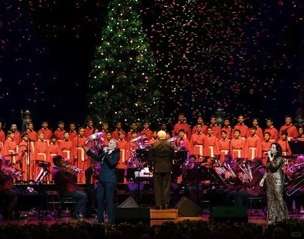 墨爾本聖誕🎄打卡攻略！看這一篇就夠了