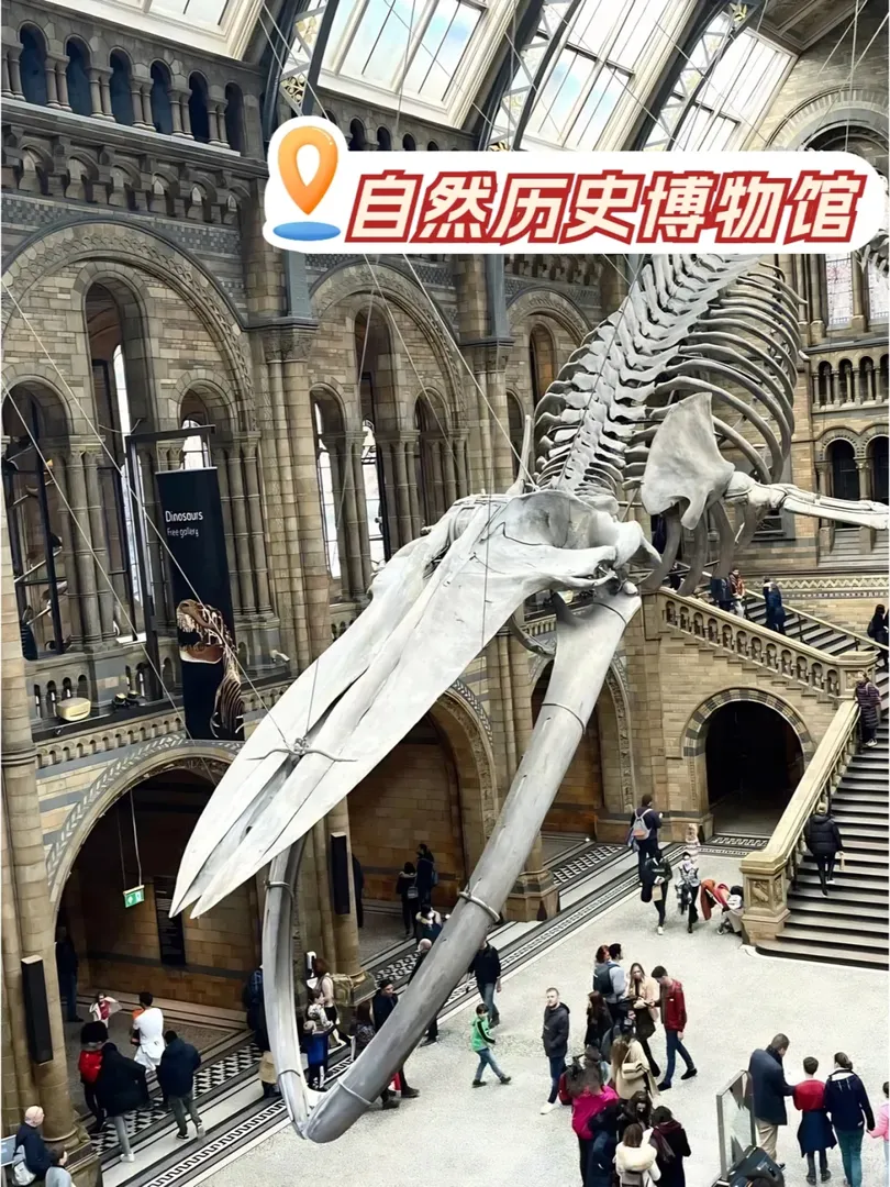 🇬🇧倫敦留學旅遊打卡四大博物館不踩雷