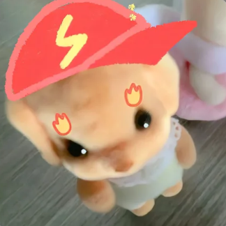 重生之我在曼大！和好朋友的快乐生活～