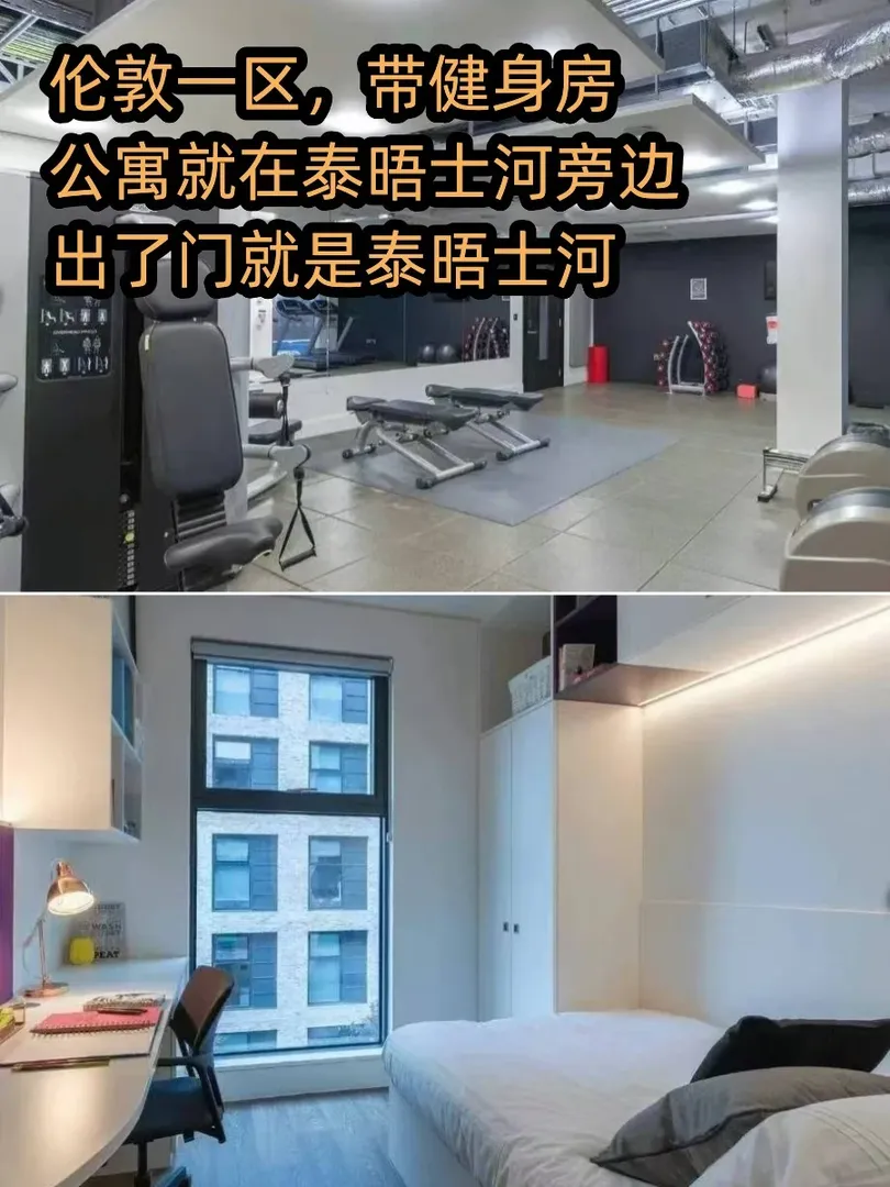 倫敦出租我的房間！！工作黨不行🥰