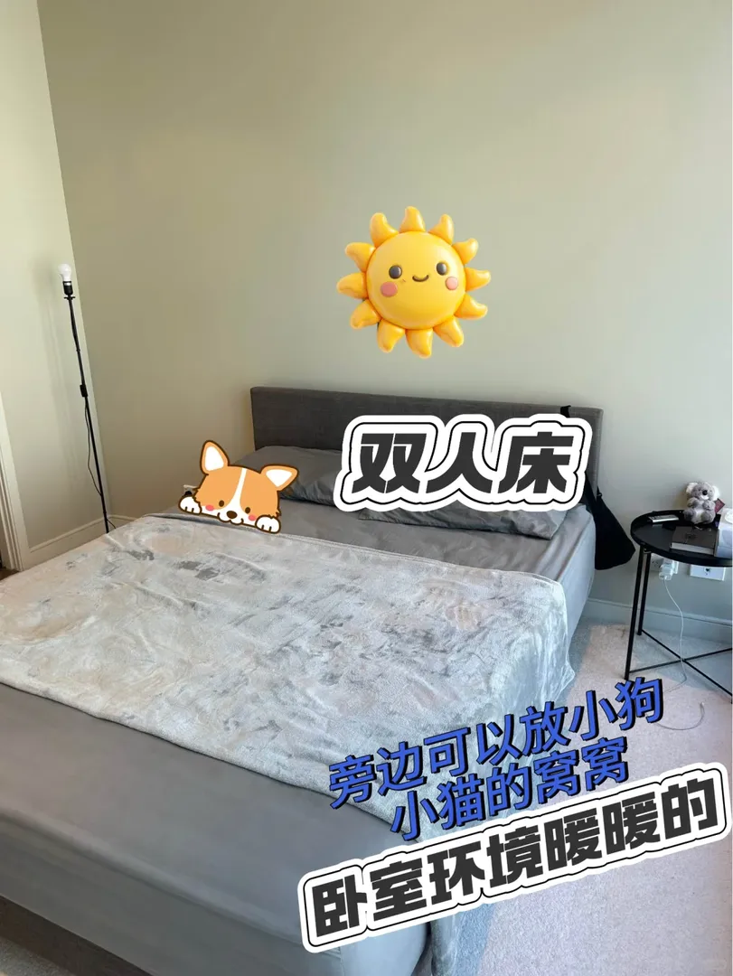 墨爾本| 在RMIT旁邊的標準一室一廳轉租可🔪
