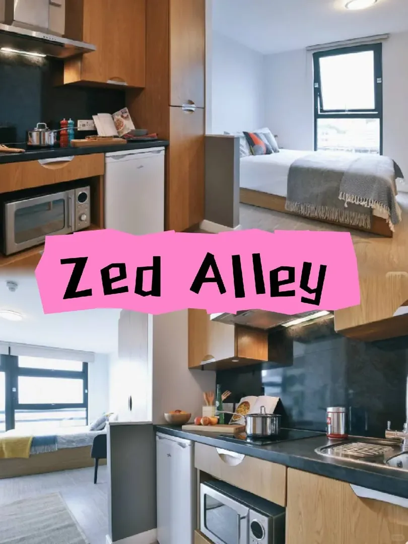 終於有人把布里斯托zu🏠一次說明白啦😭