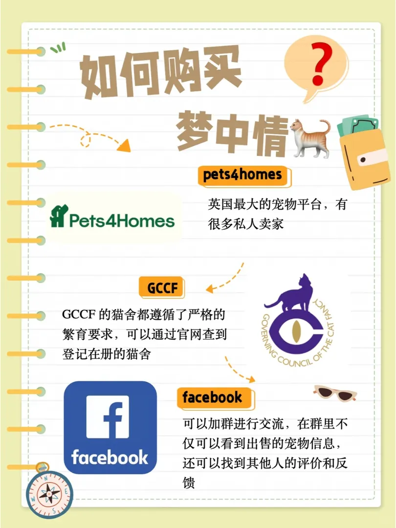 🇬🇧英國留學養貓超詳細乾貨指南