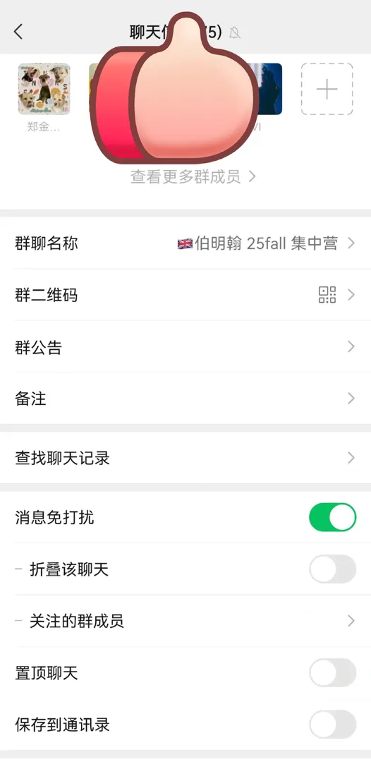 伯明罕的後花園越來越強大啦！