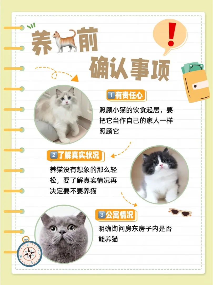 🇬🇧英國留學養貓超詳細乾貨指南