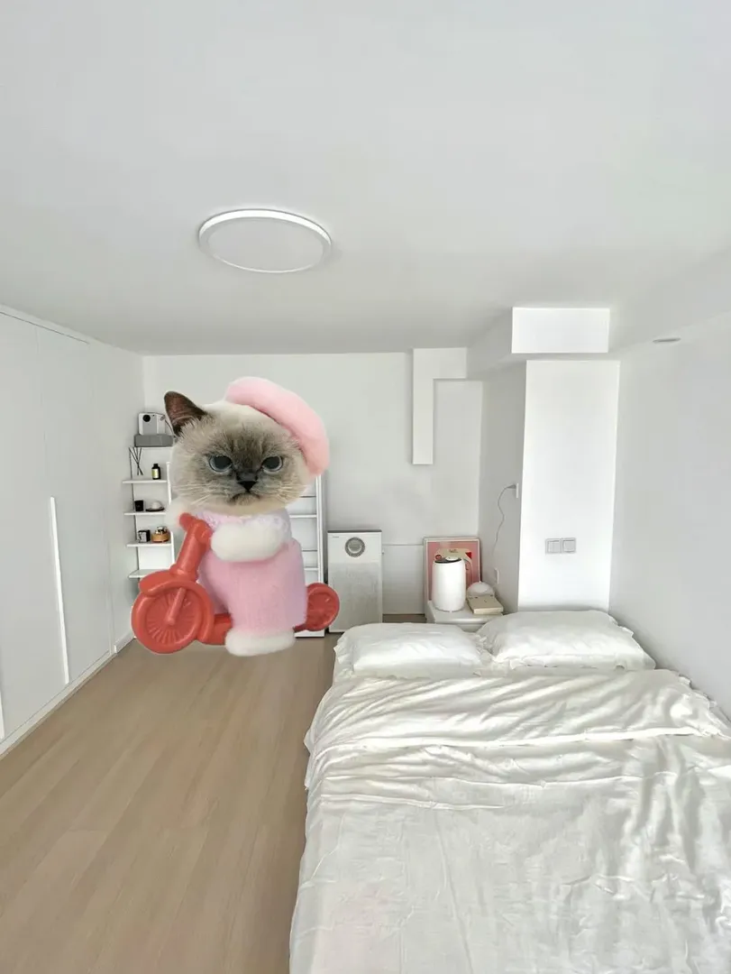 倫敦12月含淚轉大落地窗studio