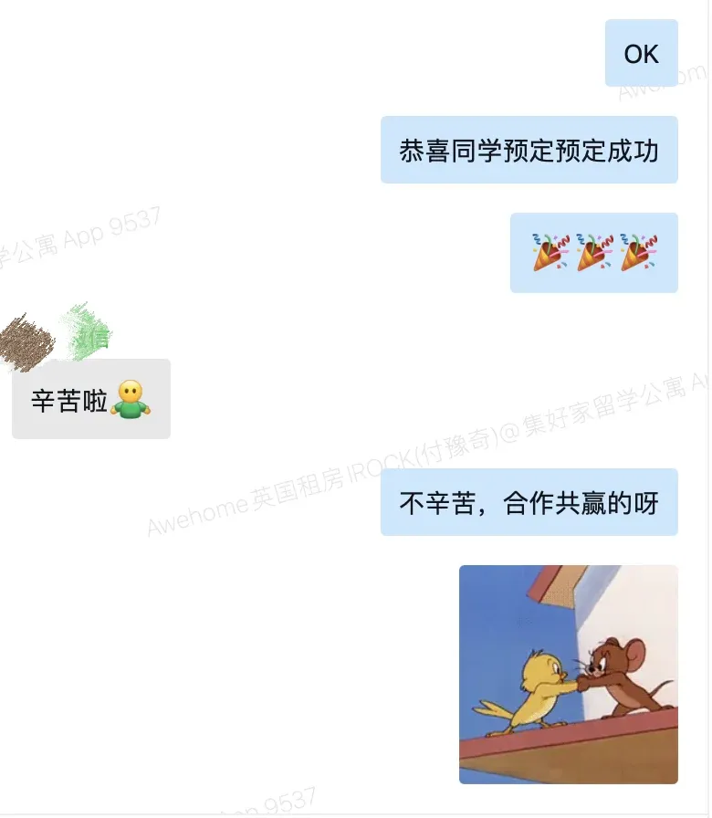 布里斯托租房故事 