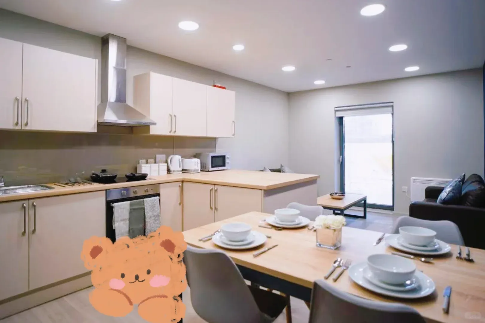 🇬🇧紐卡斯爾骨折轉租我的🏠100pw