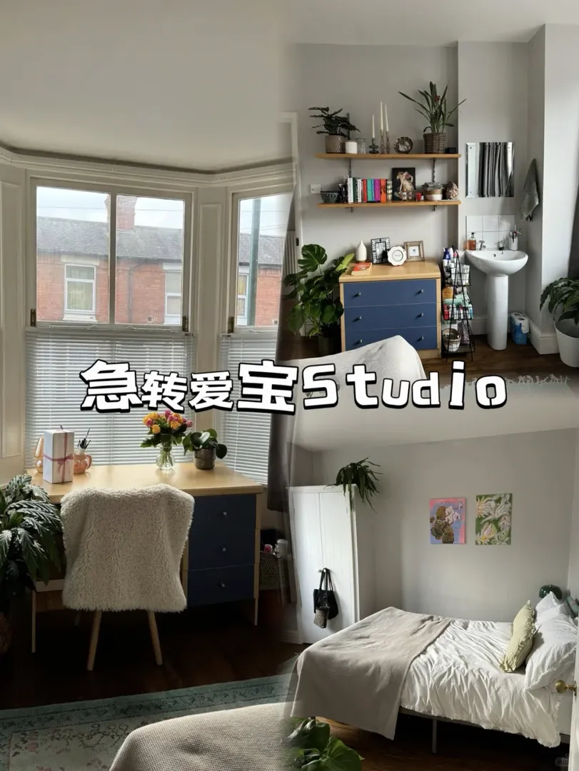💗愛寶小窩轉租｜可短租