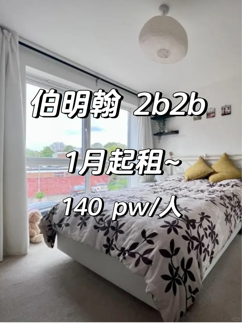 人均140胖拿下伯明罕2b2b！