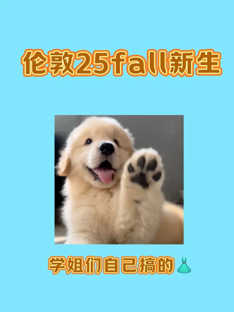 找到組織了，25fall的寶子們～