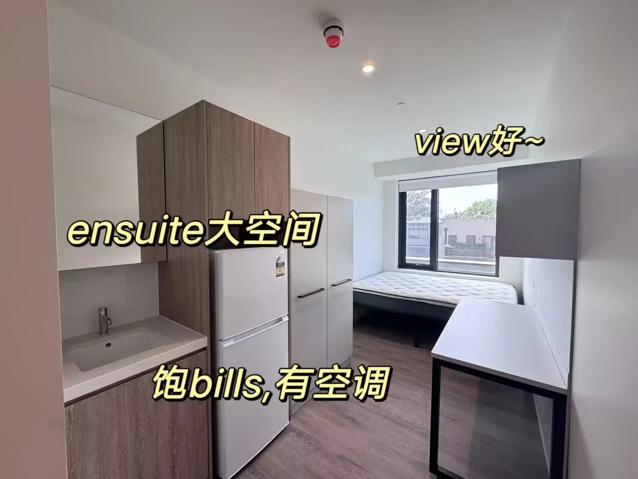 🇦🇺雪梨轉一個ensuite，2月起