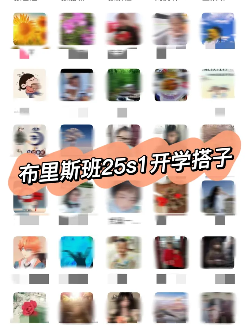 布里斯班25s1新生組織來咯