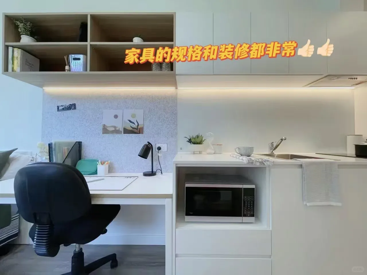 雪梨轉租明年2月UNSW附近studio，包bill