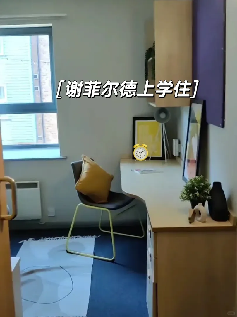 謝菲爾德上學住studio，聽我的包滿意！！