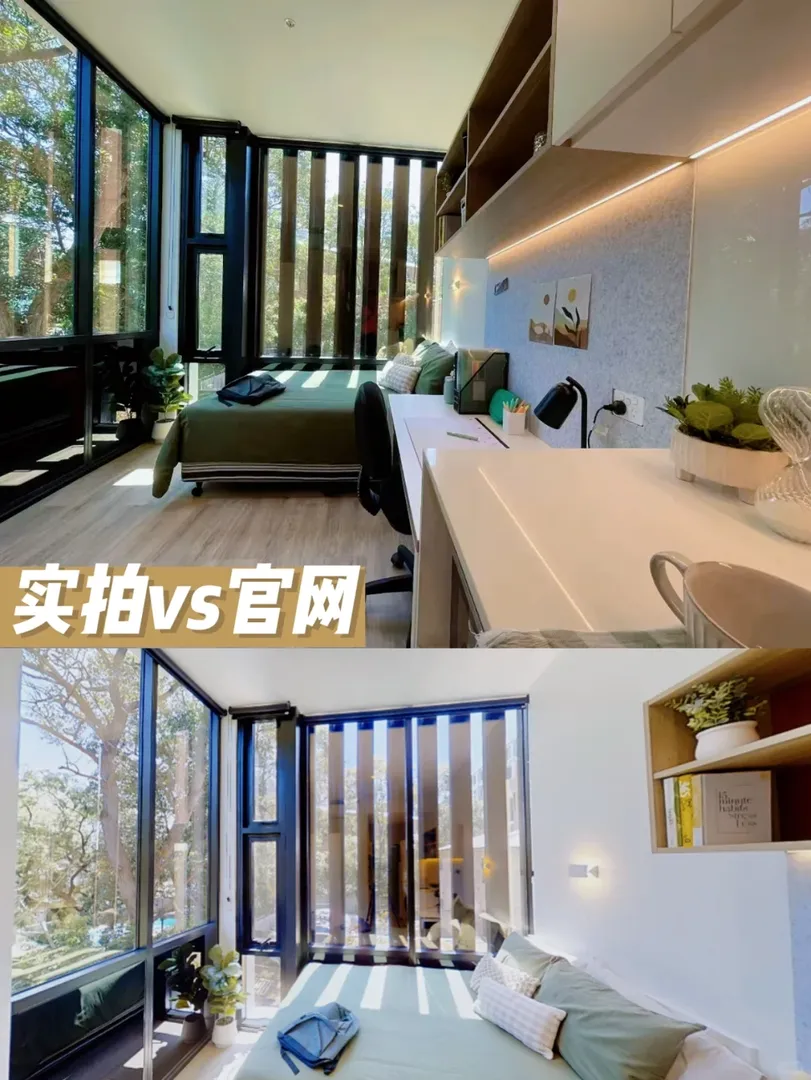 unsw步行500米｜studio包bill自🔪4周