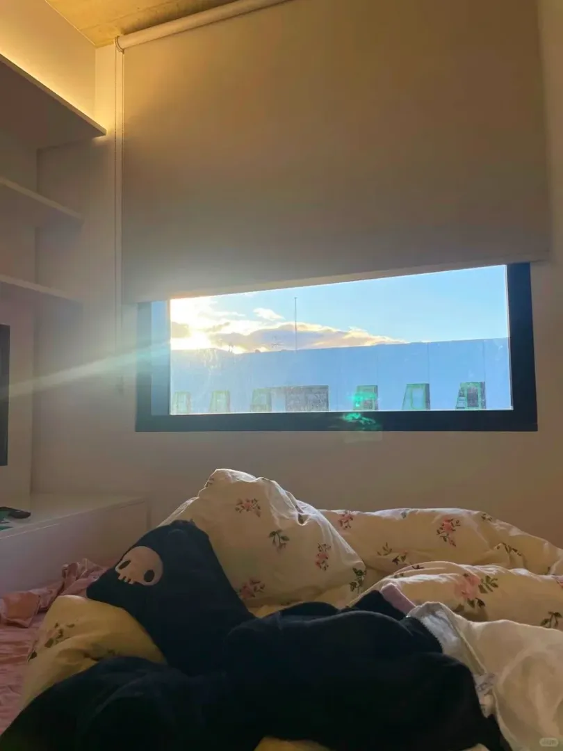 布里斯班｜出一間南岸的studio