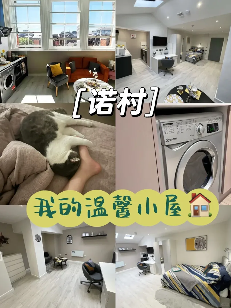 在我的🏠可以養我的小🐱