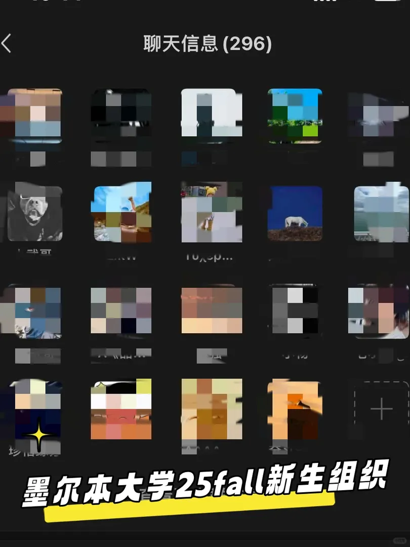 墨爾本大學25fall新生組織來啦！！