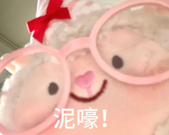 南安普顿｜整年幸福感💯滴home选好啦~