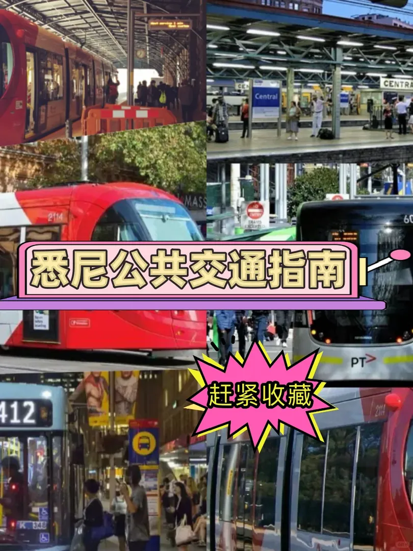 雪梨公共運輸全攻略 | 出行必備✅