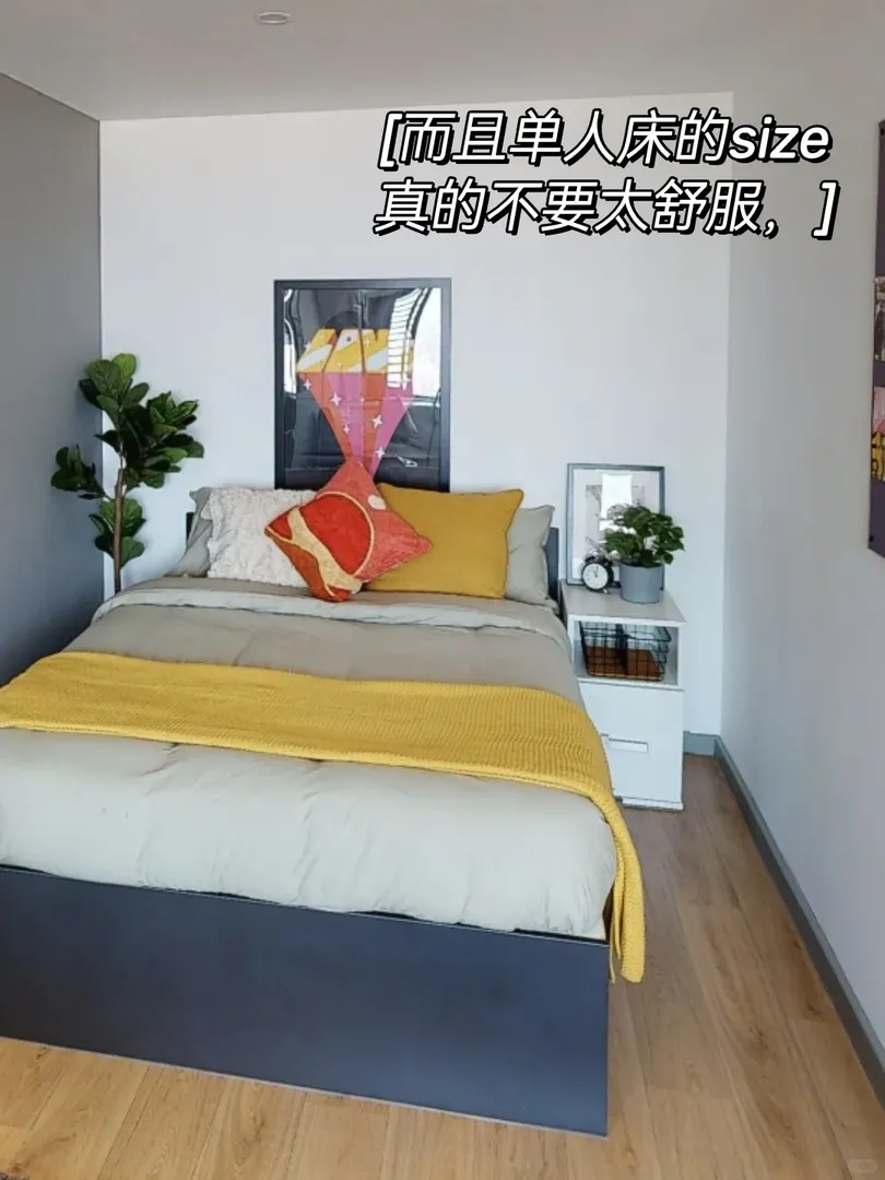 獨自生活在大不列顛🇬🇧的治癒系studio