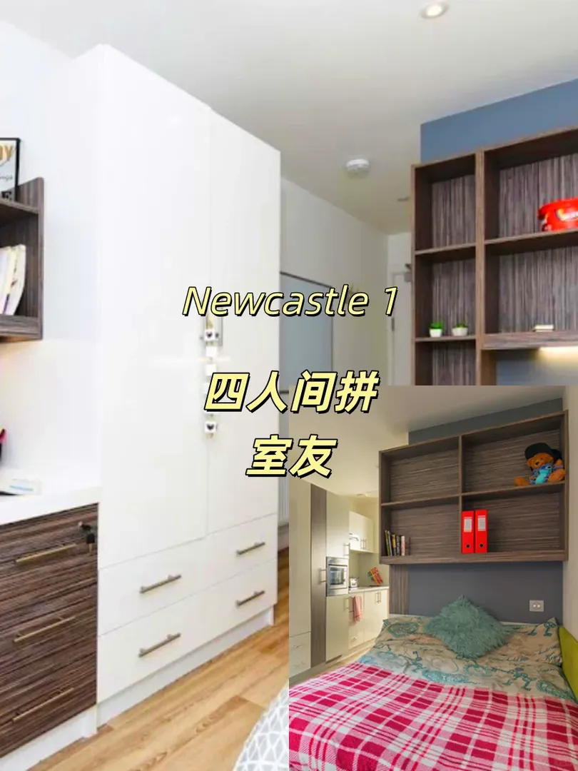 紐卡租房｜紐卡斯爾四人間拼室友