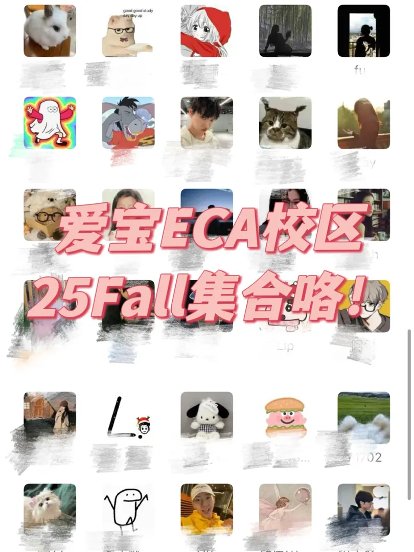 🇬🇧25fall愛寶組織